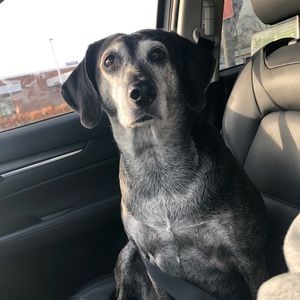 Meet your Posher, Jim